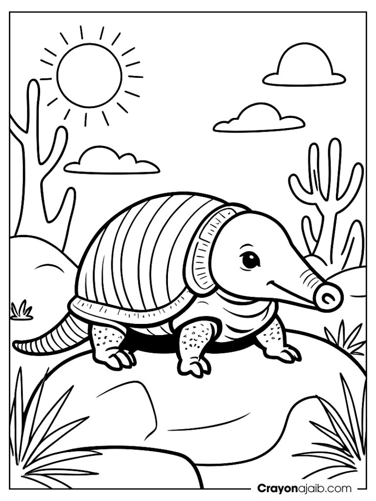 Armadillo basking under sun coloring page ca