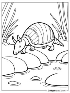 Armadillo crossing water coloring page ca