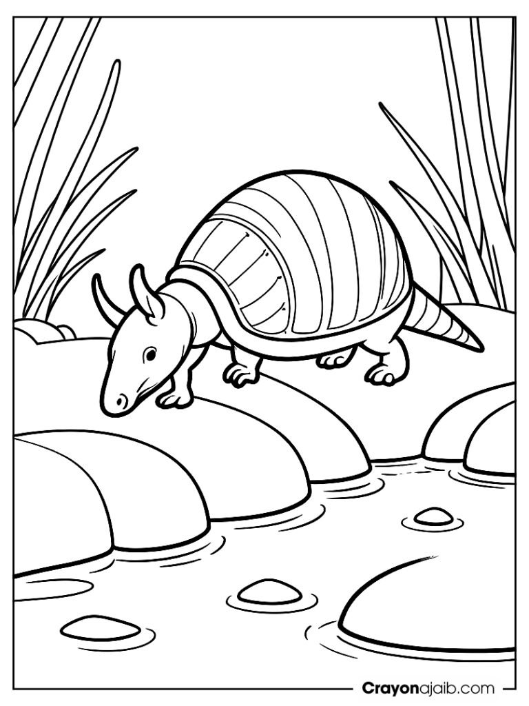 Armadillo crossing water coloring page ca