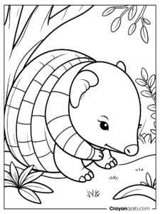 Armadillo curled up coloring page ca