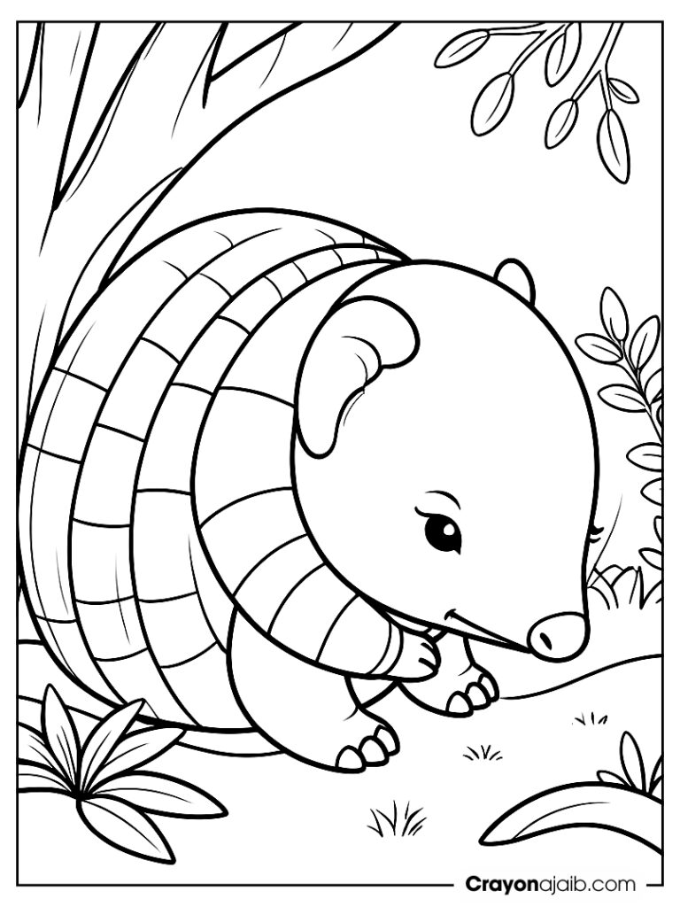 Armadillo curled up coloring page ca