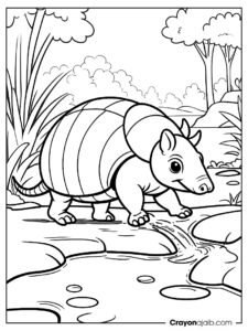 Armadillo by stream coloring page ca