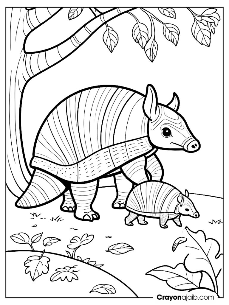 Baby armadillo and mom coloring page ca