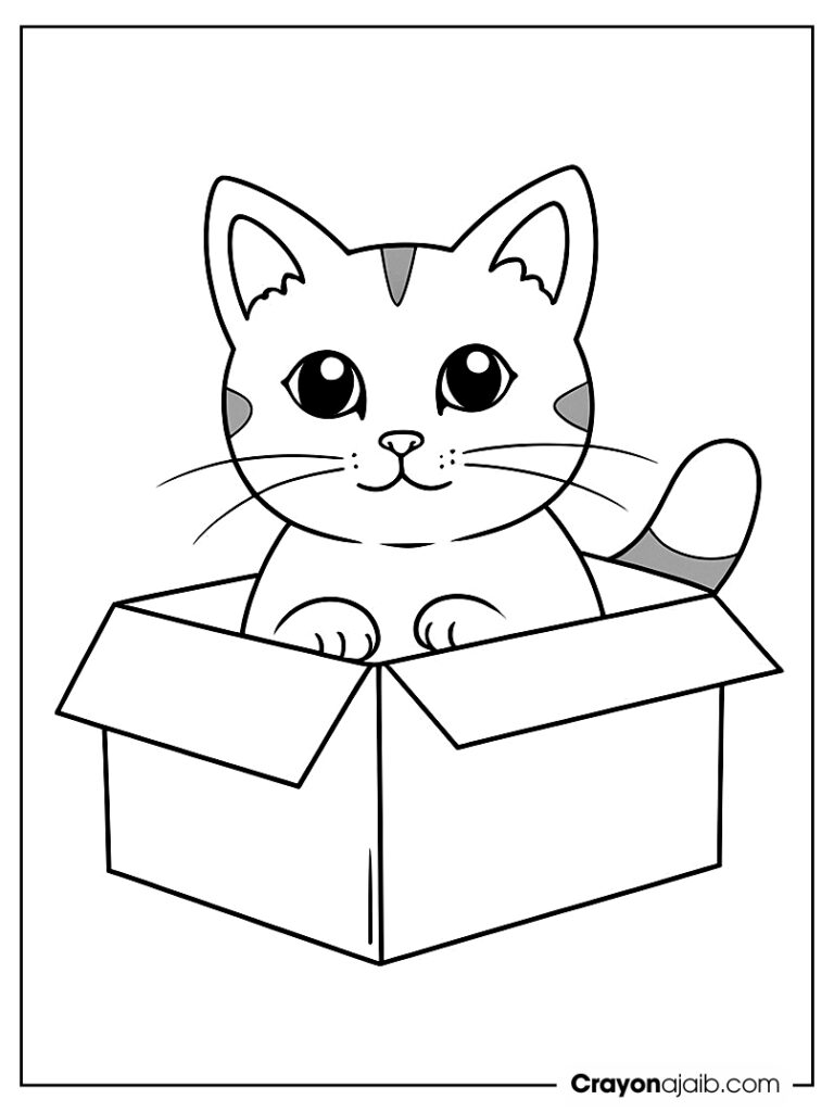 Cat in box coloring page ca