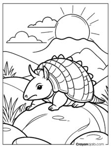 Easy armadillo on rock coloring page ca