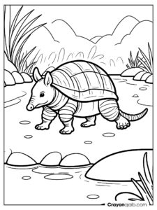 Easy armadillo on stones coloring page ca