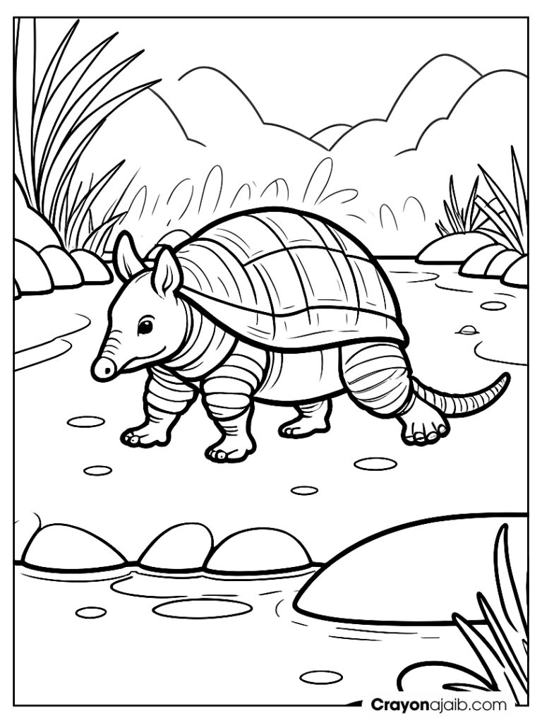 Easy armadillo on stones coloring page ca