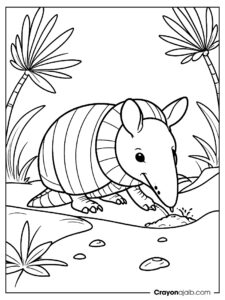 Easy digging armadillo coloring page ca