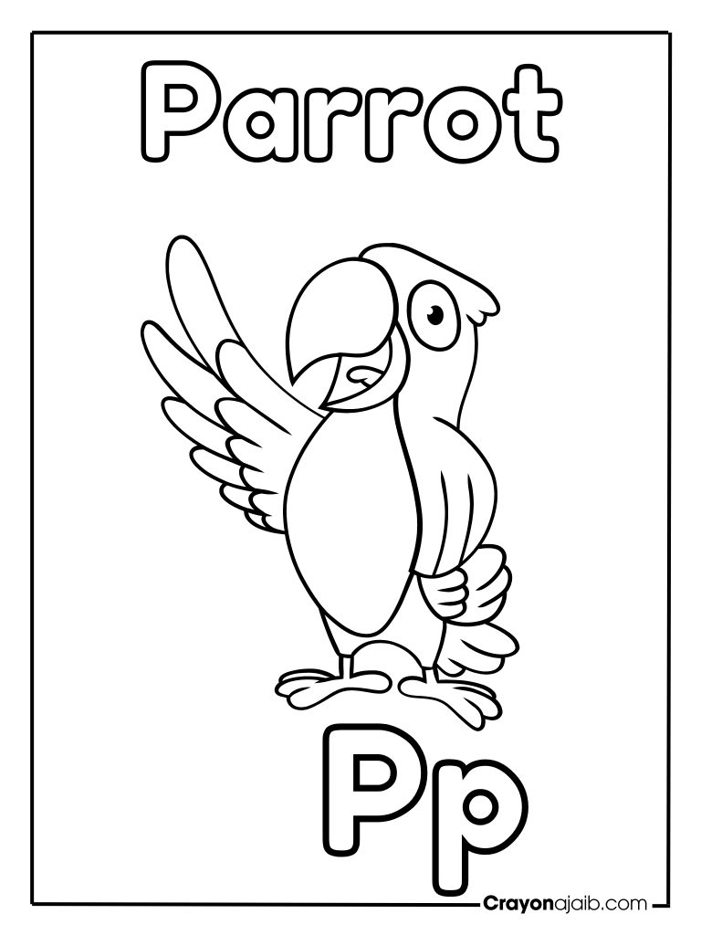 Animal letter p for parrot