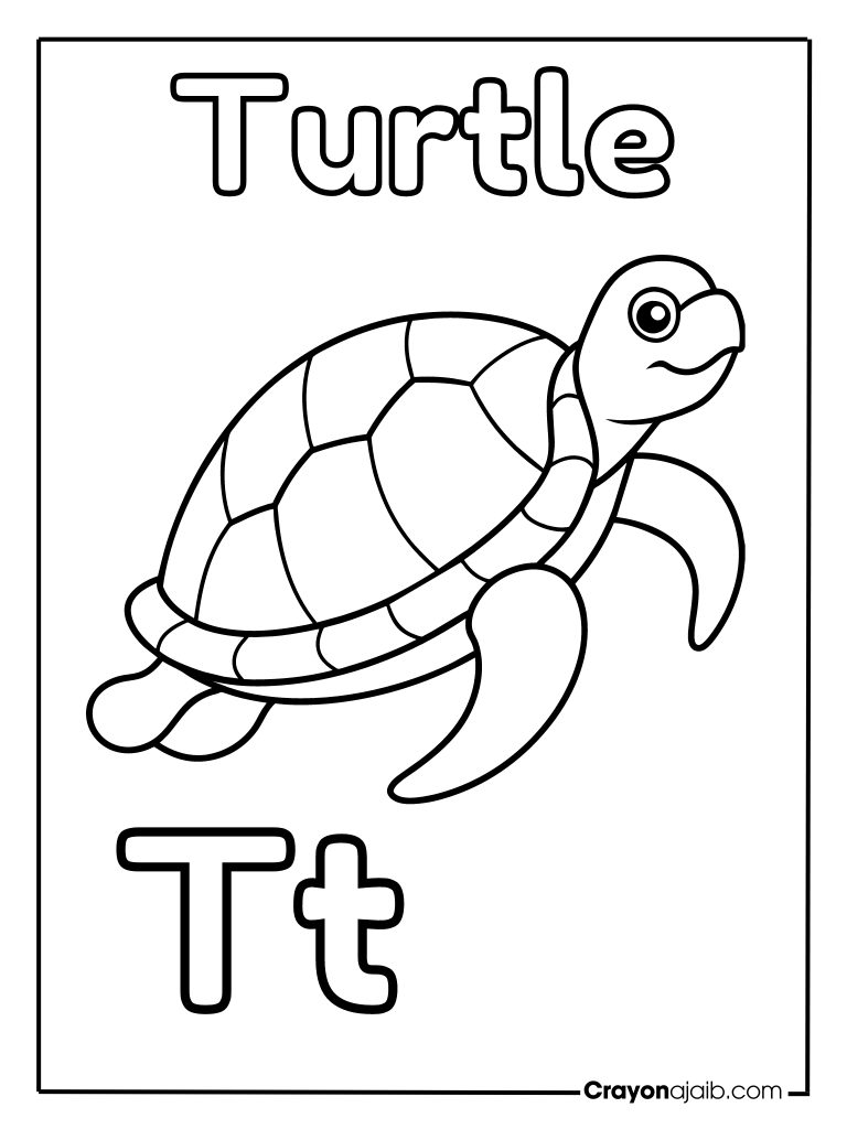 Animal letter t for turtle