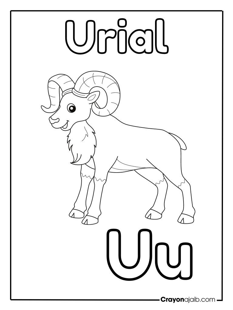 Animal letter u for urial