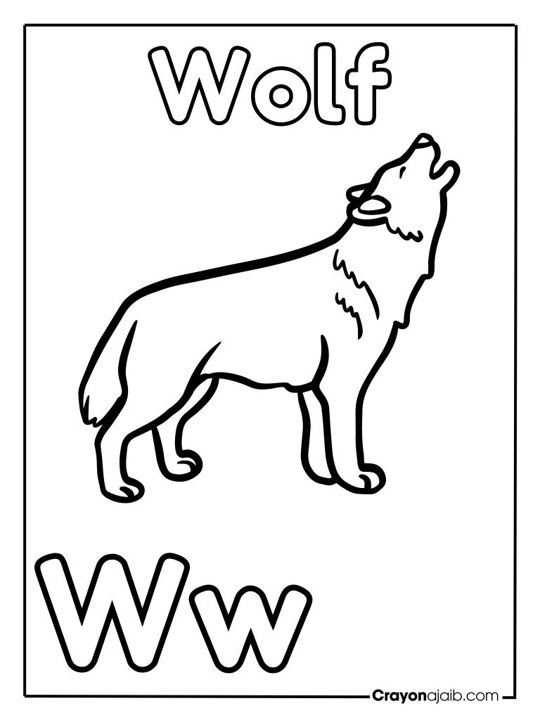 Animal letter w for wolf