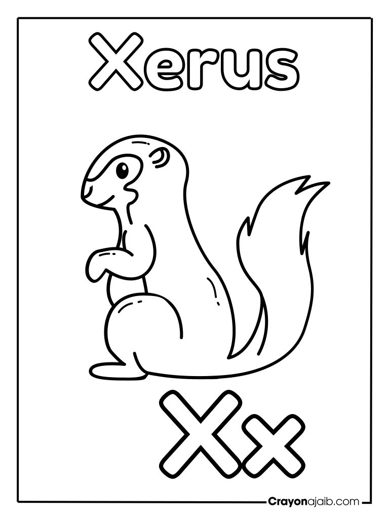 Animal letter x for xerus