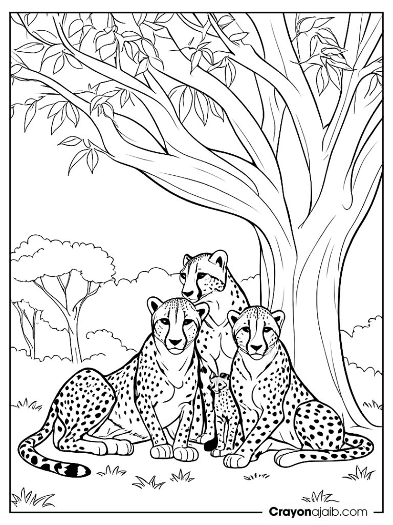 Cheetah family coloring page ca