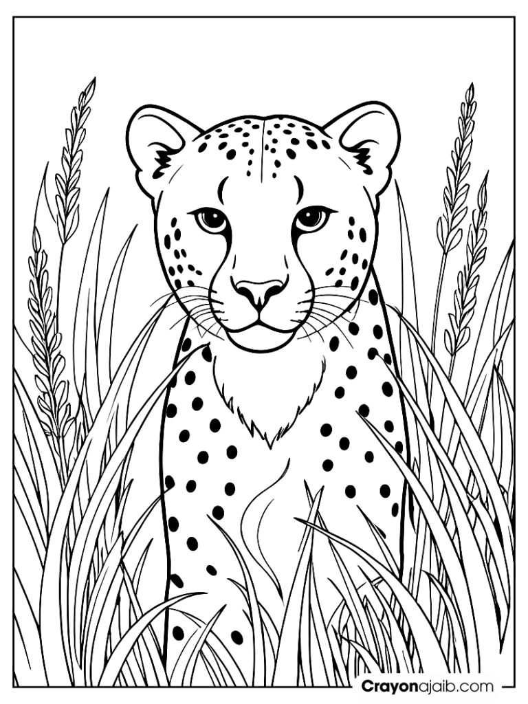 Cheetah coloring pages hiding coloring page ca