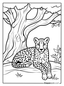 Cheetah resting under tree