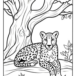 Cheetah resting under tree