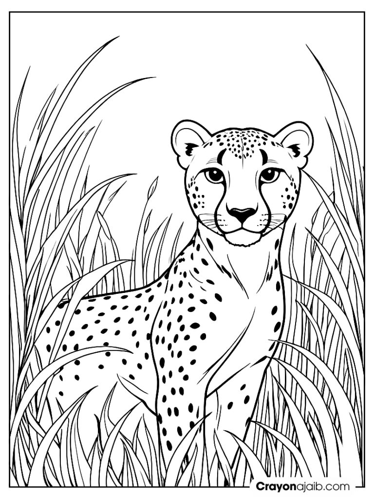 Cheetah in tall grass coloring page ca