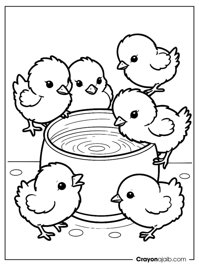 Chicks drinking water coloring page ca