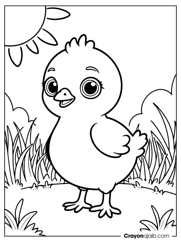 Cute baby chick coloring page ca