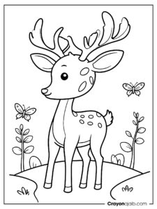 Deer and butterfly coloring page ca