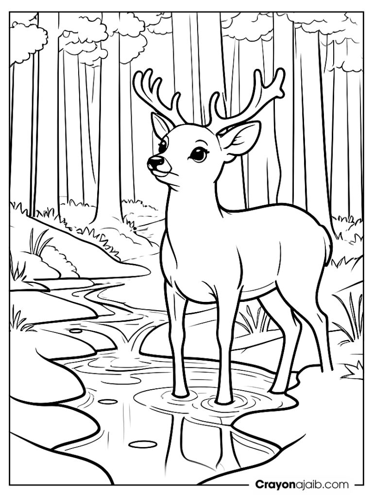 Deer by stream coloring page ca