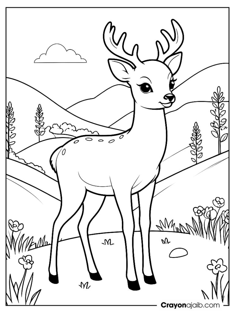 Deer on hillside coloring page ca