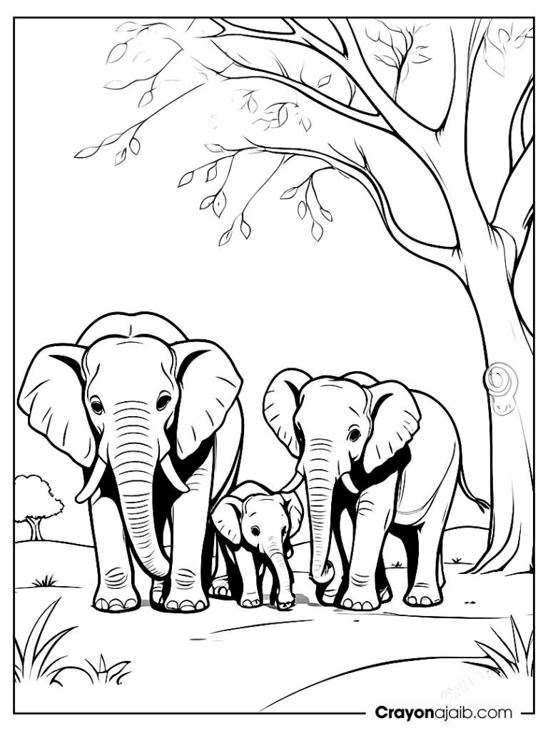 Elephant family coloring page ca