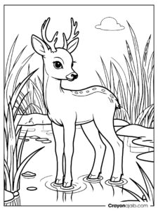 Gentle deer by water coloring page ca