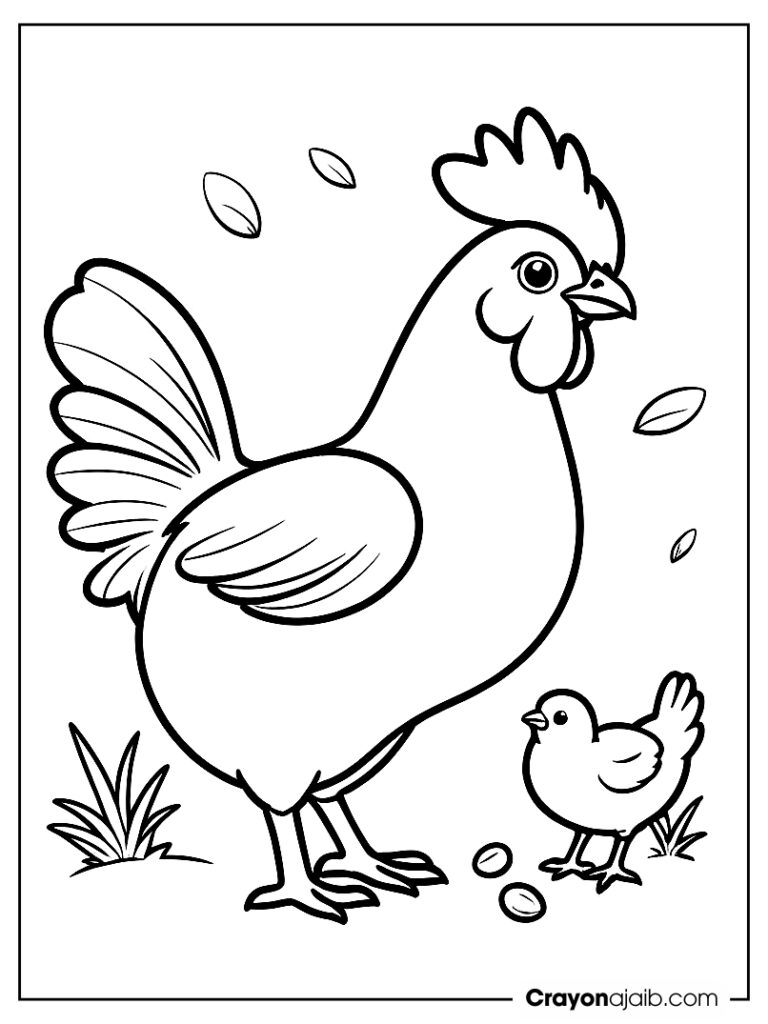 Hen and chicks feeding coloring page ca