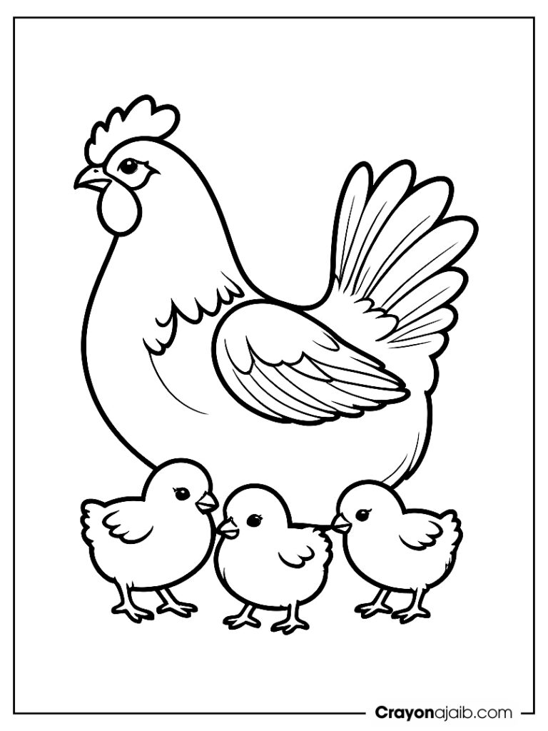 Hen and chicks walk coloring page ca