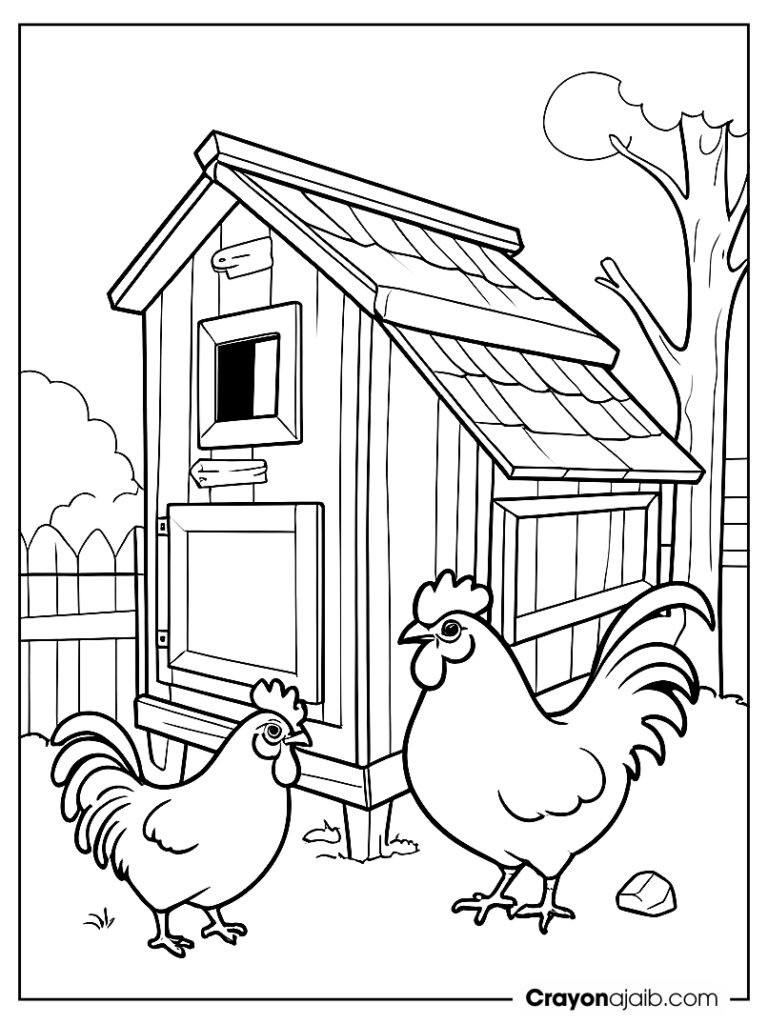 Hen and rooster coloring page ca