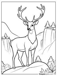 Majestic deer on rock coloring page ca