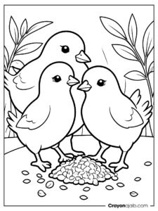 Pecking chicks coloring page ca