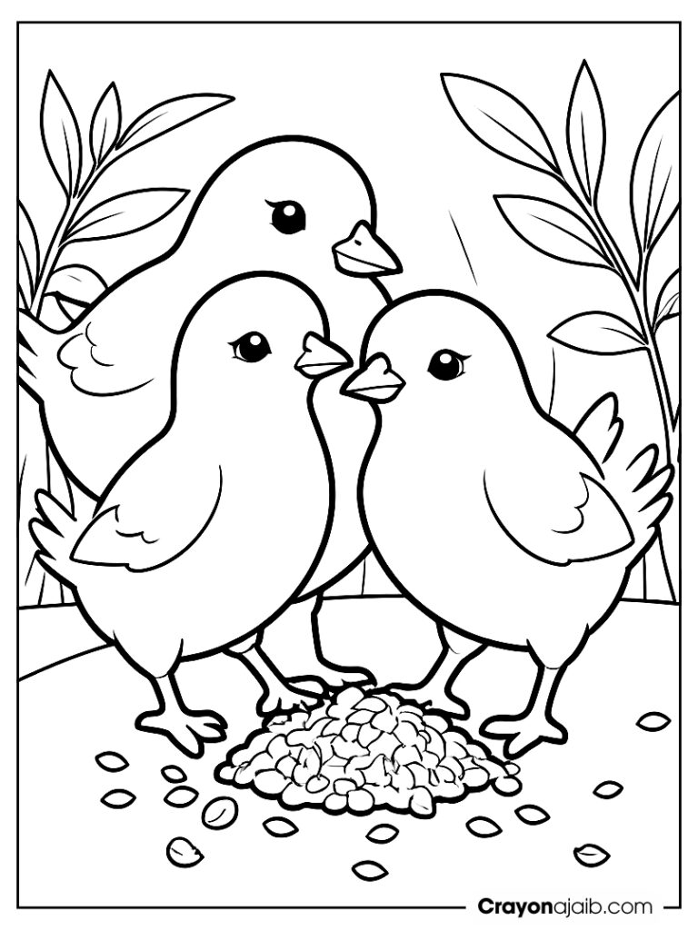 Pecking chicks coloring page ca