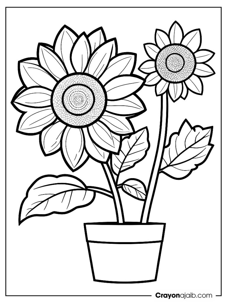 Potted sunflower line art ca