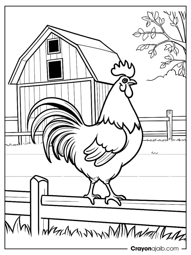 Rooster on fence coloring page ca