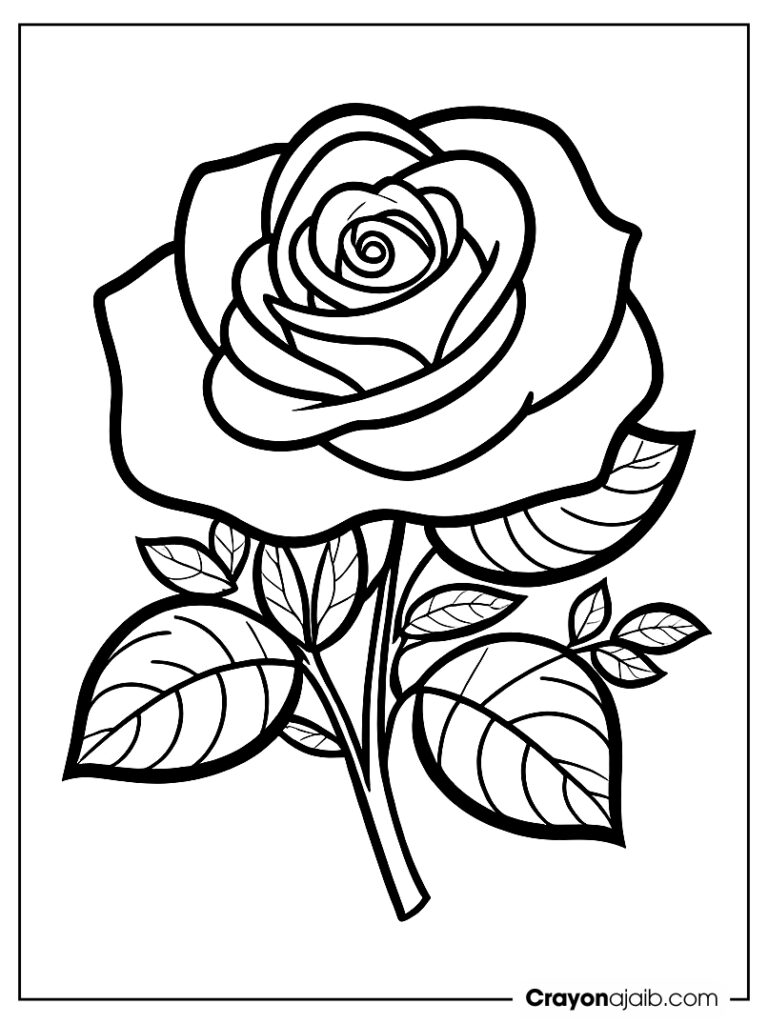 Rose sketcth simple lines ca