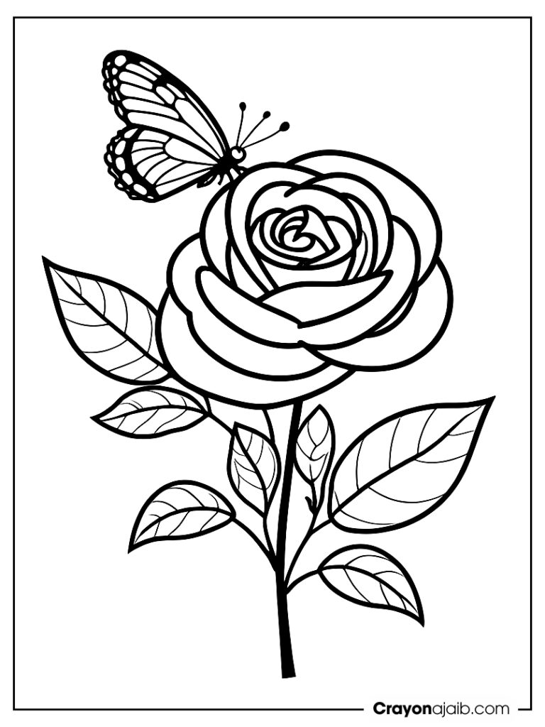 Rose with butterfly design ca