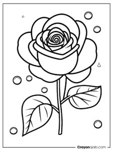 Rose with raindrops for kids ca