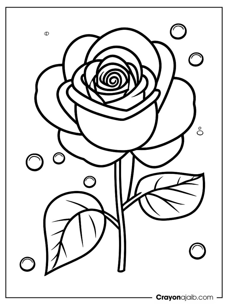 Rose with raindrops for kids ca