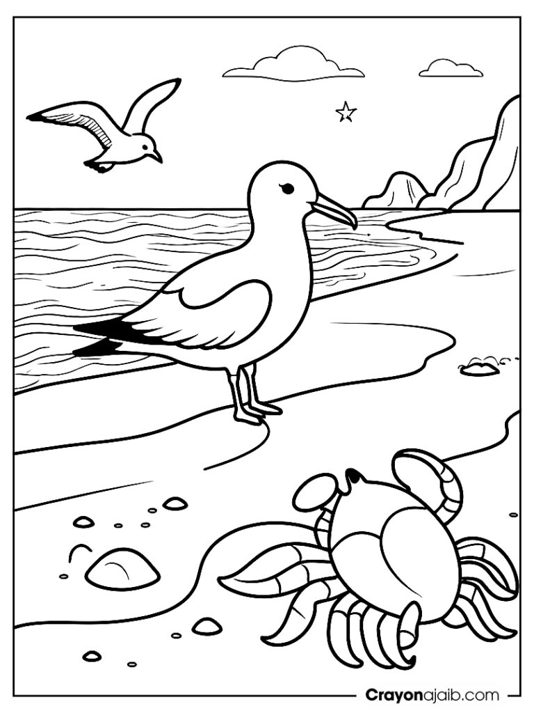 Seagull and hermit crab at the beach ca