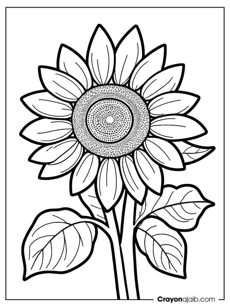 Sunflower and sun drawing for kids ca