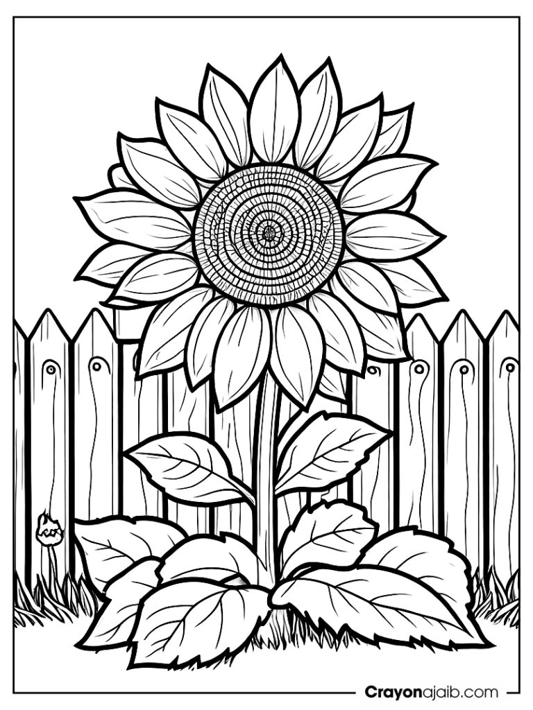 Sunflower by the fence drawing ca