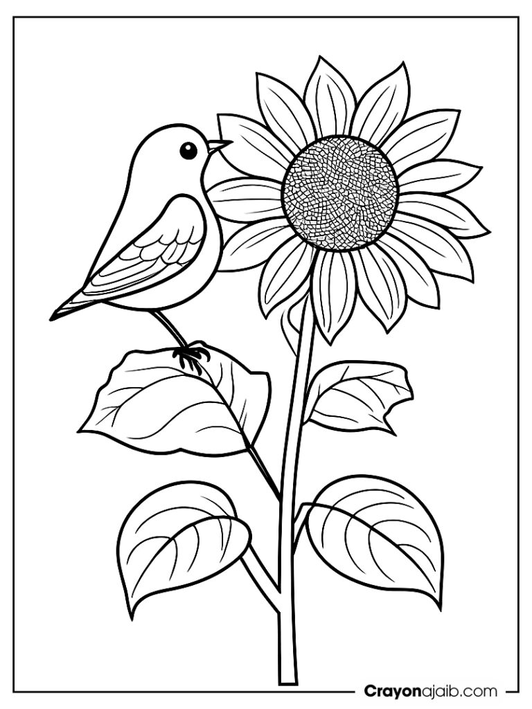 Sunflower with bird simple sketch ca