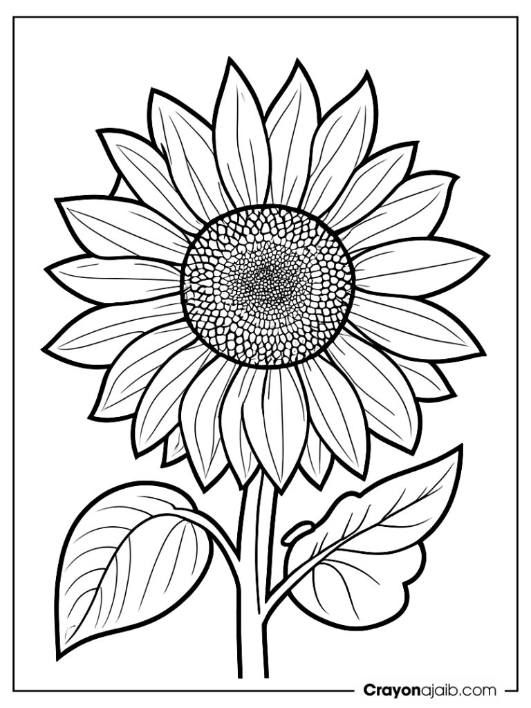 Sunflower coloring with caterpillar line art ca