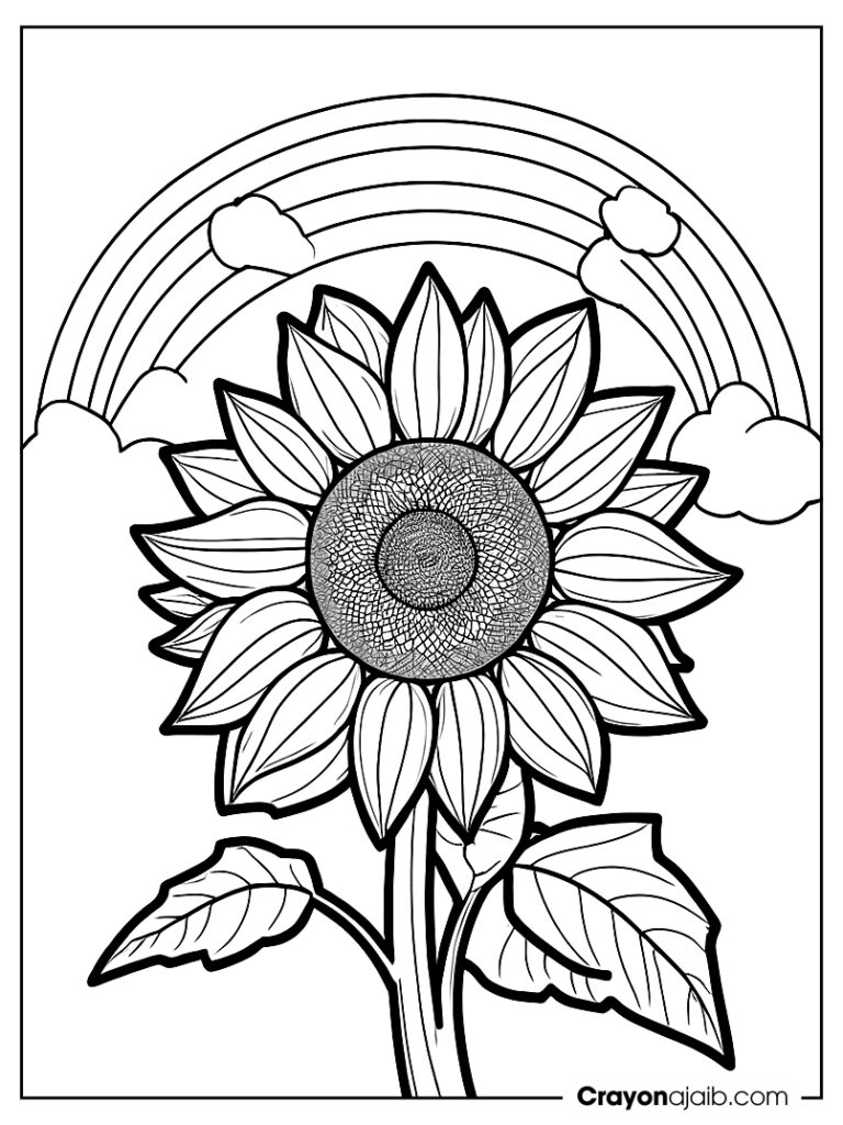 Sunflower with rainbow drawing ca