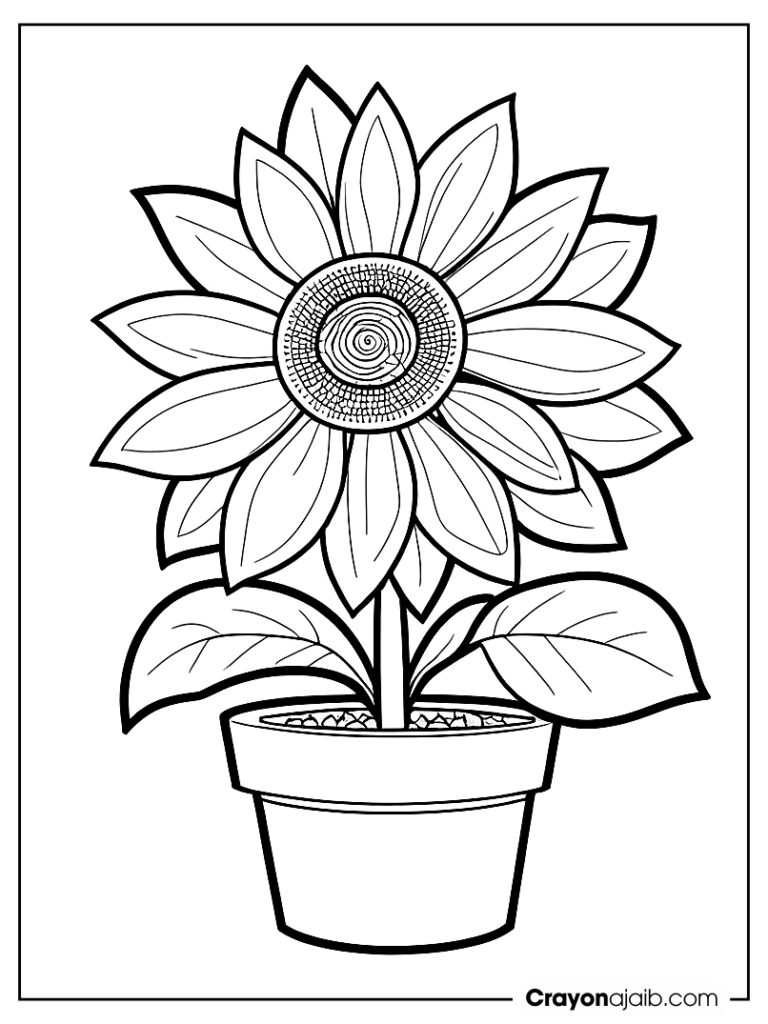 A potted sunflower with bold ca