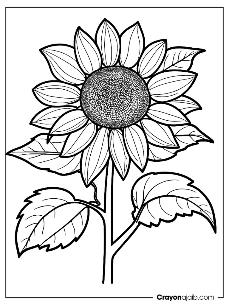 Delightful sunflower group encourages kids to explore nature in their art ca