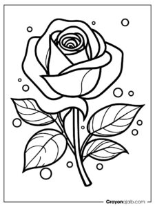 Lovely rose with raindrops is designed for easy coloring ca